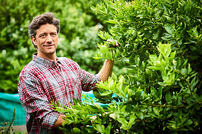 Buy stock photo Portrait of a mature man examining produce while standing in his organic garden