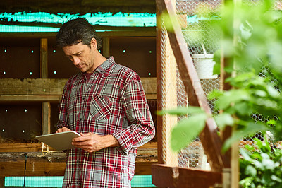 Buy stock photo Shot of a mature man using a digital tablet while standing in his organic garden