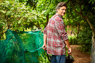 Buy stock photo Portrait of a man pushing a wheelbarrow through his organic garden