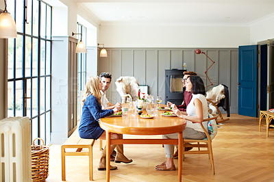 Buy stock photo Shot of a group of friends enjoying a home-cooked dinner together