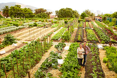 Buy stock photo Portrait of a smiling couple standing in their organic garden