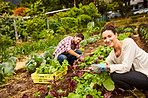 Growing our own vegetables is a labor of love