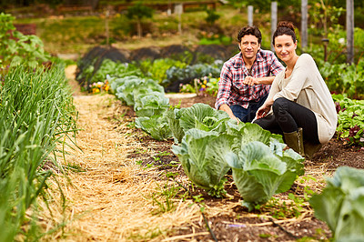Buy stock photo Portrait of a smiling couple working in their organic garden
