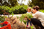 Raising her daughter to be green
