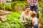 Sharing a love of gardening with their daughter