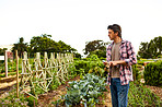 Surveying his vegetable plot