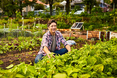 Buy stock photo Portrait of a smiling mature man working in his organic vegetable garden