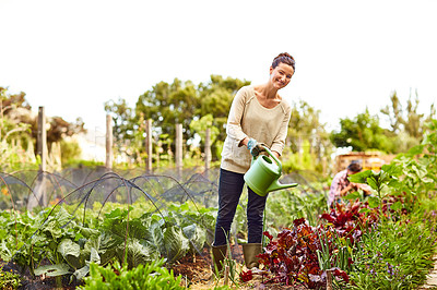 Buy stock photo Portrait of a woman watering her organic vegetable garden with her husband working in the background
