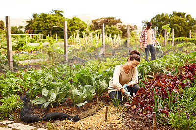 Buy stock photo Shot of a mature couple working in their organic couple