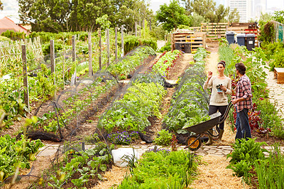 Buy stock photo Shot of a mature couple working in their organic couple
