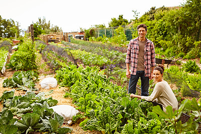 Buy stock photo Portrait of a smiling couple standing in their organic garden