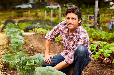 Buy stock photo Portrait of a man examining a cabbage while kneeling in his organic garden
