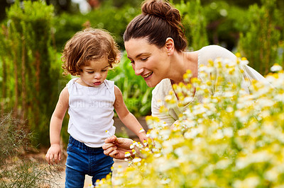Buy stock photo Shot of a mother and little daughter looking at plants in an organic garden