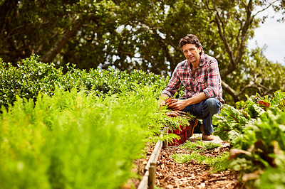 Buy stock photo Portrait of a smiling man kneeling in his organic garden