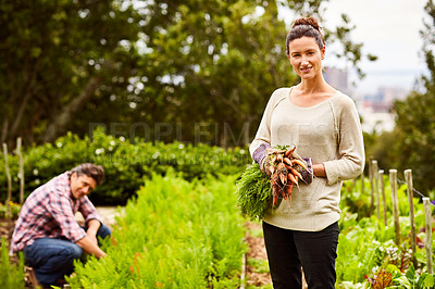 Buy stock photo Portrait of a smiling woman holding a bunch of carrots with her husband working in their organic vegetable garden behind her
