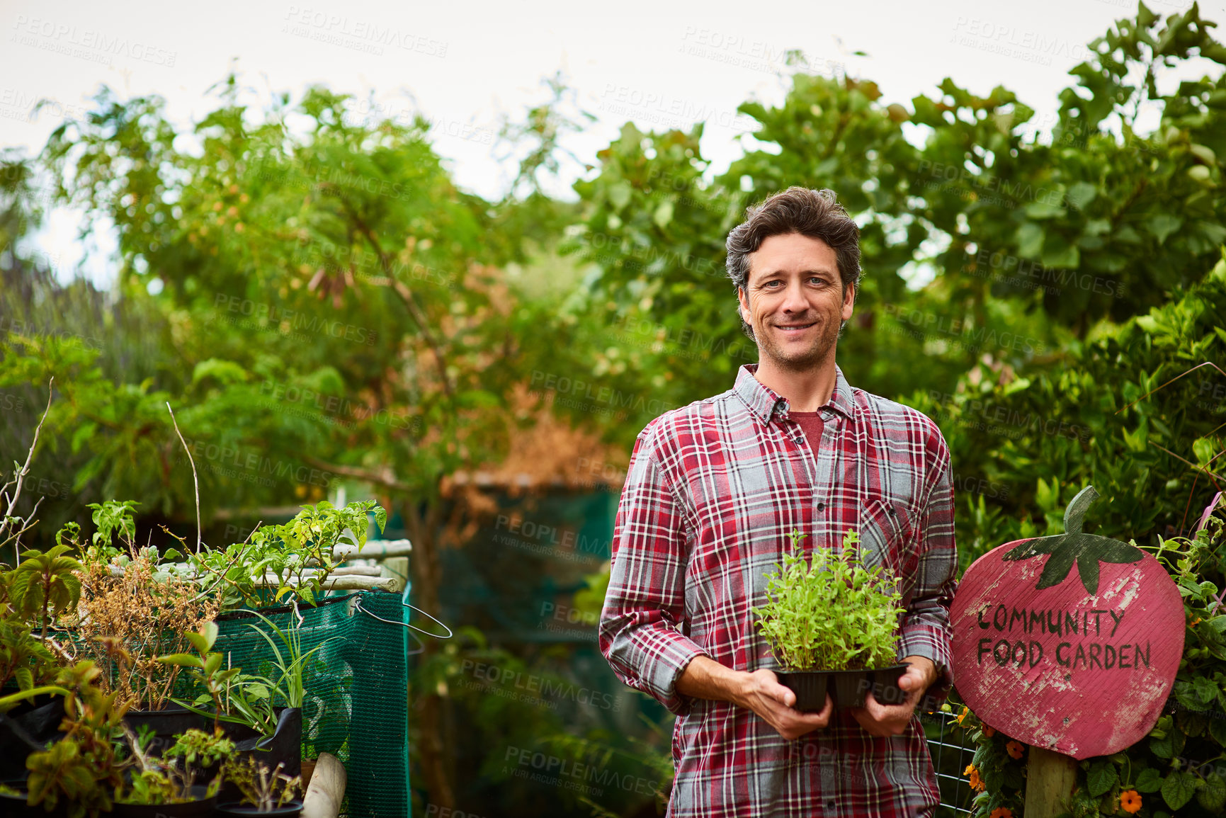 Buy stock photo Portrait of a smiling man holding a seedling while standing in his organic garden