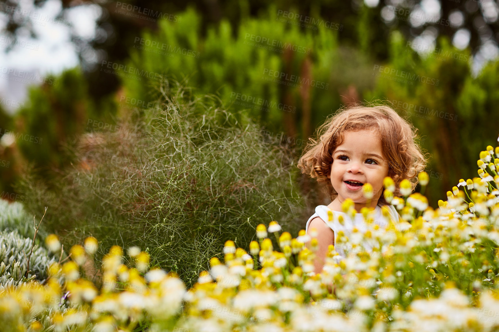 Buy stock photo Shot of a cute little girl looking at flowers in a garden