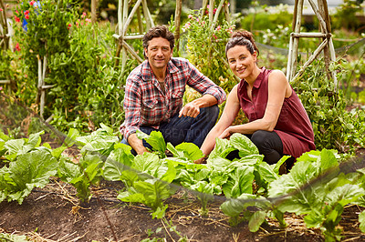 Buy stock photo Portrait of a mature couple working in their organic garden