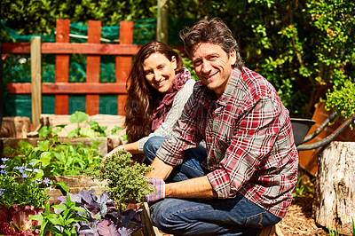 Buy stock photo Portrait of a mature couple working in their organic garden