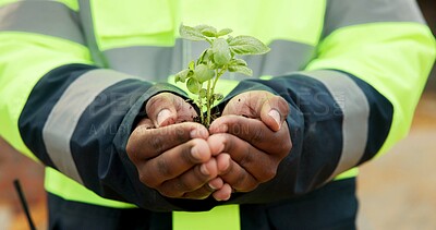 Buy stock photo Hands, engineer and plant growth for construction, sustainability and earth day at site. Person, soil or leaves in environment for architecture, eco friendly and green energy for urban infrastructure