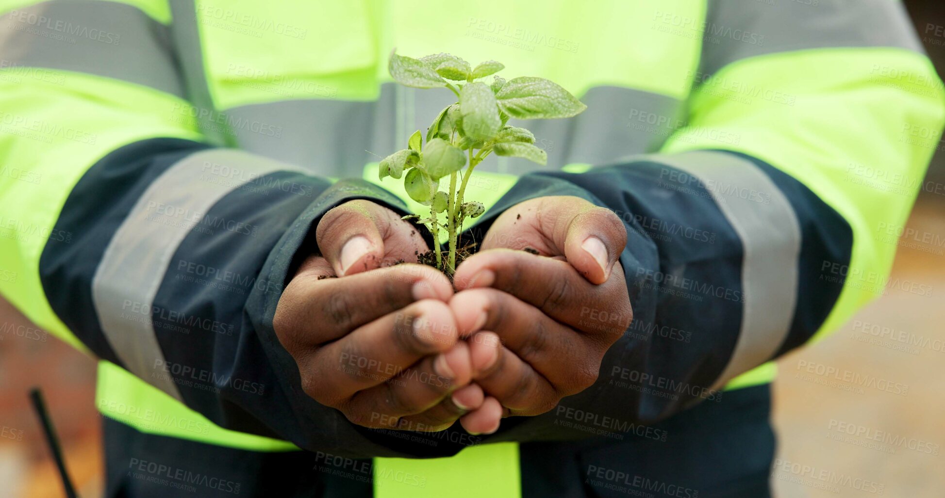Buy stock photo Hands, engineer and plant growth for construction, sustainability and earth day at site. Person, soil or leaves in environment for architecture, eco friendly and green energy for urban infrastructure