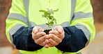 Hands, engineer and plants at site for growth, construction and sustainability for earth day. Person, soil and leaves in environment for architecture, eco friendly and green energy for infrastructure