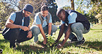 People, volunteer and gardening at park with plants, growth and earth day for community outreach. Smile, team and soil in nature with leaves, social responsibility and botany for conservation project