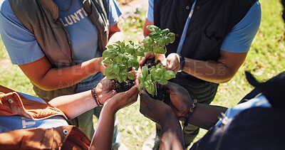 Buy stock photo Hands, people and volunteer at park with plants, growth and  earth day for community outreach. Above, team and soil in nature with leaves, social responsibility and gardening for conservation project