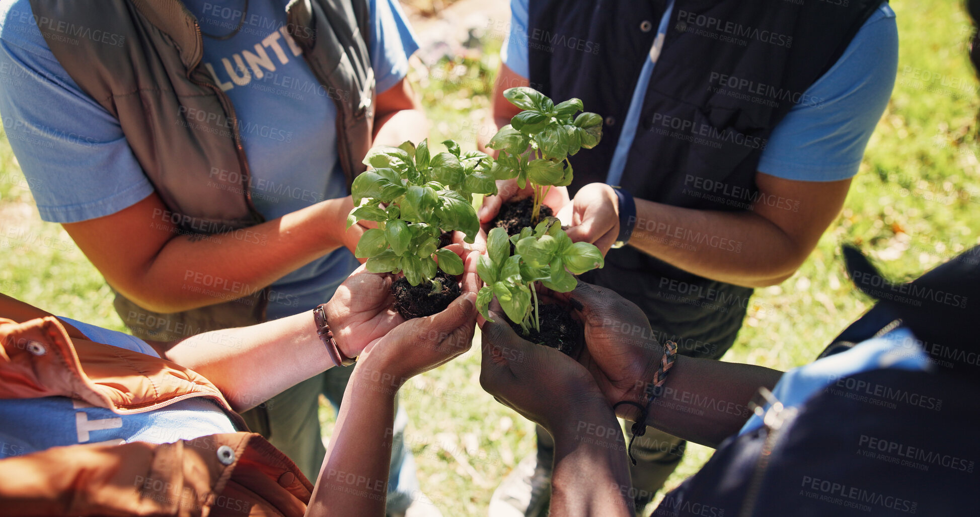 Buy stock photo Hands, people and volunteer at park with plants, growth and  earth day for community outreach. Above, team and soil in nature with leaves, social responsibility and gardening for conservation project