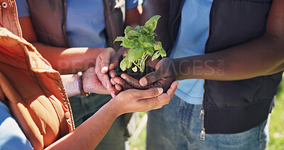 Buy stock photo Hands, people and volunteer in nature with plants, growth and earth day for community outreach. Team, soil and botany at park with leaves, social responsibility and gardening for conservation project