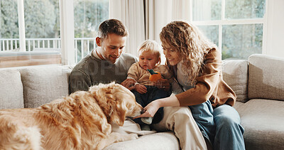 Buy stock photo Parents, child and dog with smile on couch for care, play and love for bonding or connection in home. Father, mother and baby in living room for pet animal, stroke and relax on sofa at family house