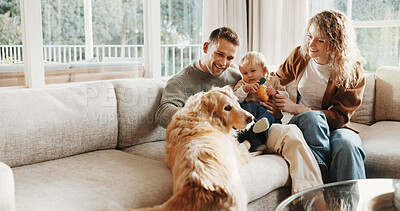 Buy stock photo Parents, baby and dog with smile on couch for care, play and love for bonding or connection in home. Father, mother and child in living room for pet animal, stroke and relax on sofa at family house