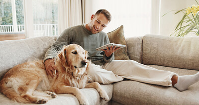 Buy stock photo Happy, tablet and man with dog on sofa for bonding, break and connection for internet search. Home, relax and person with tech, social media and Labrador for weekend, love and website for pet info