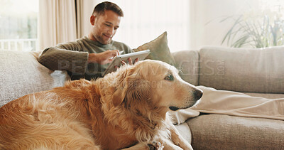 Buy stock photo Online, tablet and man with dog on sofa for bonding, break and connection for internet search. Home, happy and person with tech, social media and Golden Retriever for weekend, relax and pet website