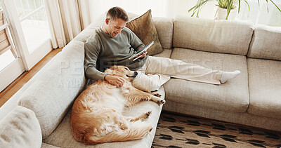 Buy stock photo Above, tablet and man with dog on sofa for bonding, break and connection for internet search. Home, happy and person with tech, social media and Golden Retriever for pet care, relax and weekend