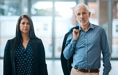 Buy stock photo Portrait of two mature businesspeople posing together at work