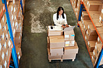 Checking the shipping manifest