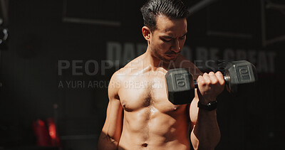 Buy stock photo Fitness, gym and bodybuilder man with dumbbells or weights for training, muscle growth and self care. Iron, workout and person with health club membership for exercise, strong arms and wellness