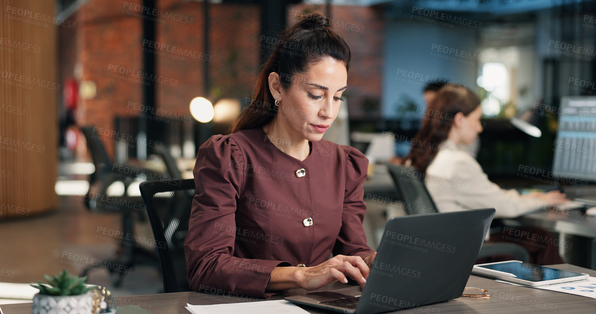 Buy stock photo Finance, businesswoman and typing in office with laptop, data collection and payroll administration. Coworking, mature person and stats with computer, charts and financial report for worker income.