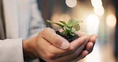 Buy stock photo Business, hands or soil with plant in office for green investment, financial return or ESG project. Man, finance investor or sprout at company for eco friendly initiative, sustainable funds or growth