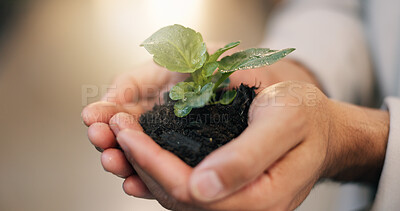 Buy stock photo Business, hands or man with plant in office for green investment, financial return or ESG project. Soil, finance investor or sprout at company for eco friendly initiative, sustainable funds or growth