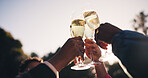 People, hands and cheers with champagne glasses for outdoor event, celebration or reunion. Group, community or friends with toast or alcohol for new year party or social gathering together in nature
