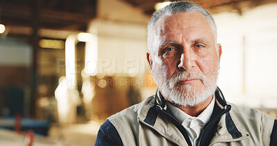 Buy stock photo Carpentry, serious or man in factory with portrait, handyman or about us in manufacturing industry. Bokeh, pride and mature artisan with confidence, production career and ambition in woodworking.