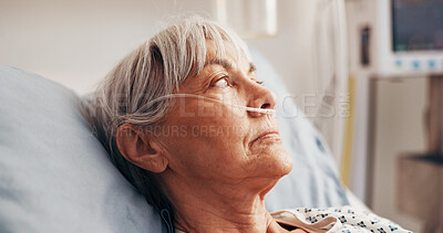 Buy stock photo 