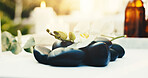Spa, empty and flower with hot stones at resort for aromatherapy, beauty treatment and wellness. Hospitality, background and heat therapy for stress relief, holistic healing and pamper for massage