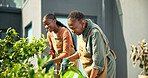 Senior, mother and woman watering plants for natural growth, healthy development or bonding hobby. Black family, adult daughter or happy pensioner with gardening, moisture and home garden maintenance
