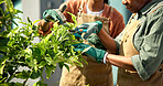 Hands, mother and woman pruning for gardening, healthy growth or dead leaf removal with support. Maintenance, adult daughter and mom with shears, plant care help and routine trim with bonding at home