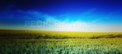 Buy stock photo Farmland, grass and growth in countryside, sustainability and scenery of landscape, rural and space. Outdoor, nature and pasture in environment, eco friendly and view of field or plants in Denmark
