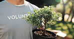 Volunteer, man and tshirt at park for plant restoration, eco advocate or ngo for green initiative. Non profit, person or bonsai outdoor for community greening, environment outreach or climate action