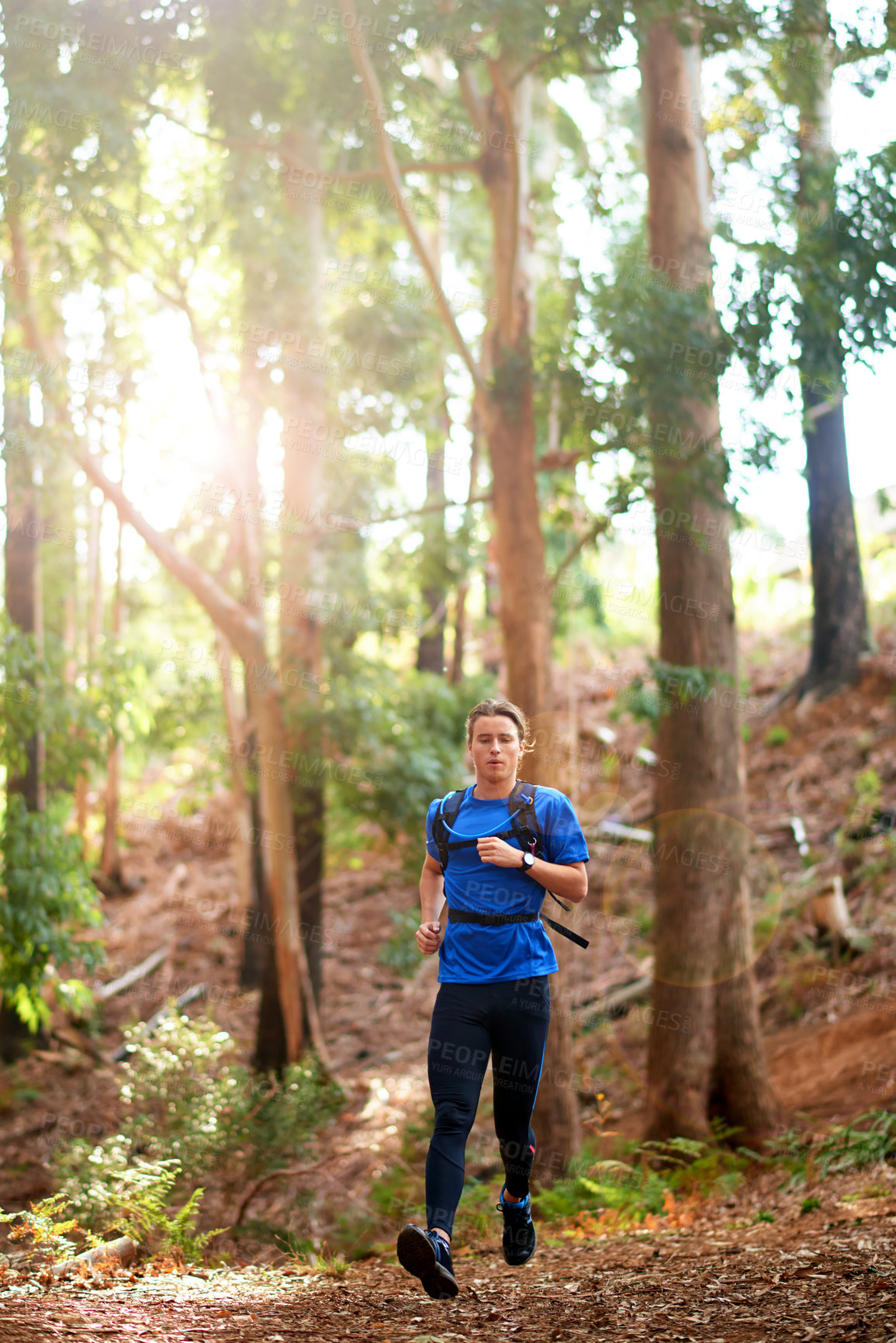 Buy stock photo Running, fitness and man in forest, training and exercise with cardio, energy and wellness. Healthy person, runner and athlete in woods, jog or active with hobby, workout and trees with stress relief